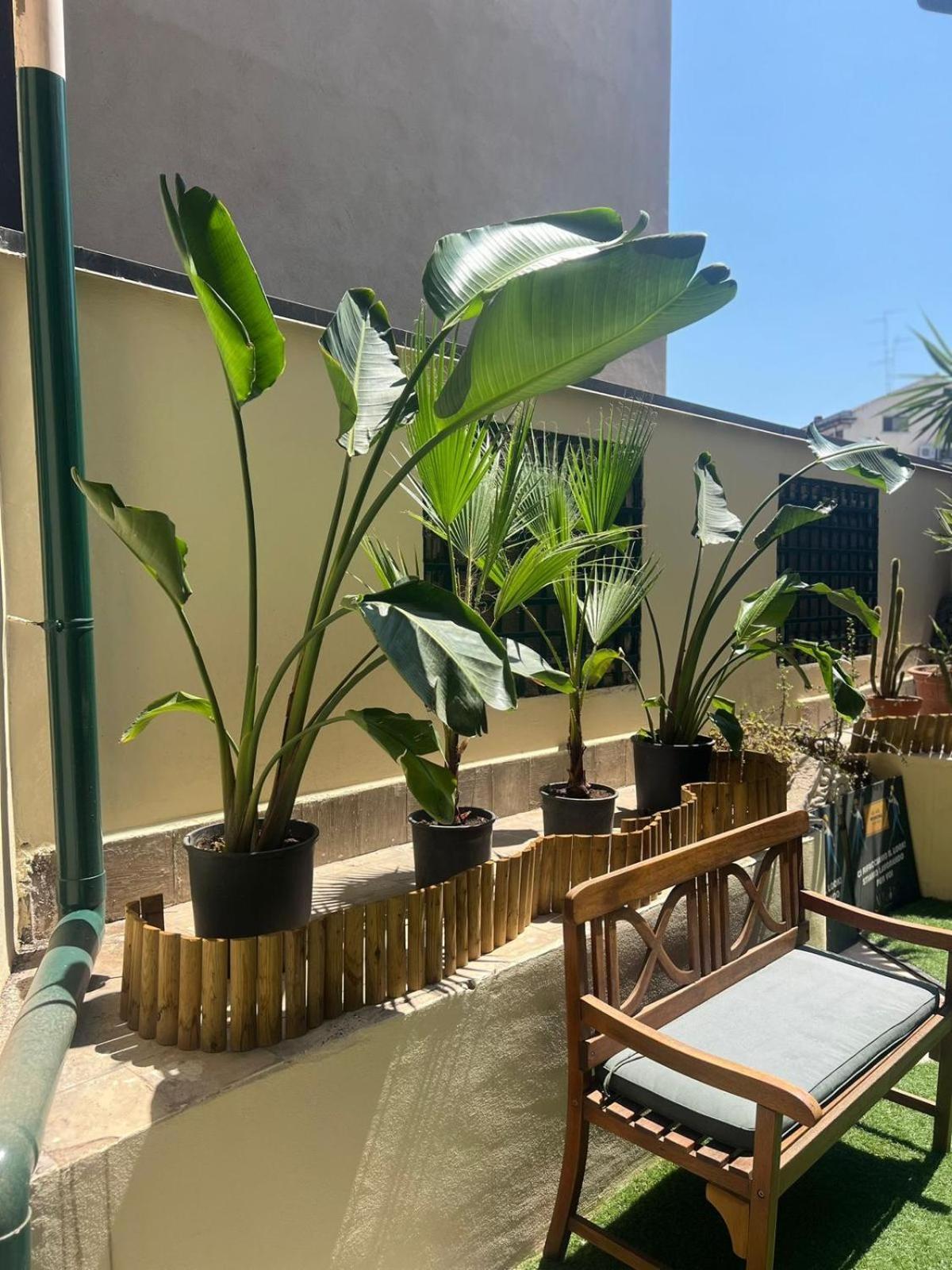 Al Borgo Apartment CTA Exteriér fotografie
